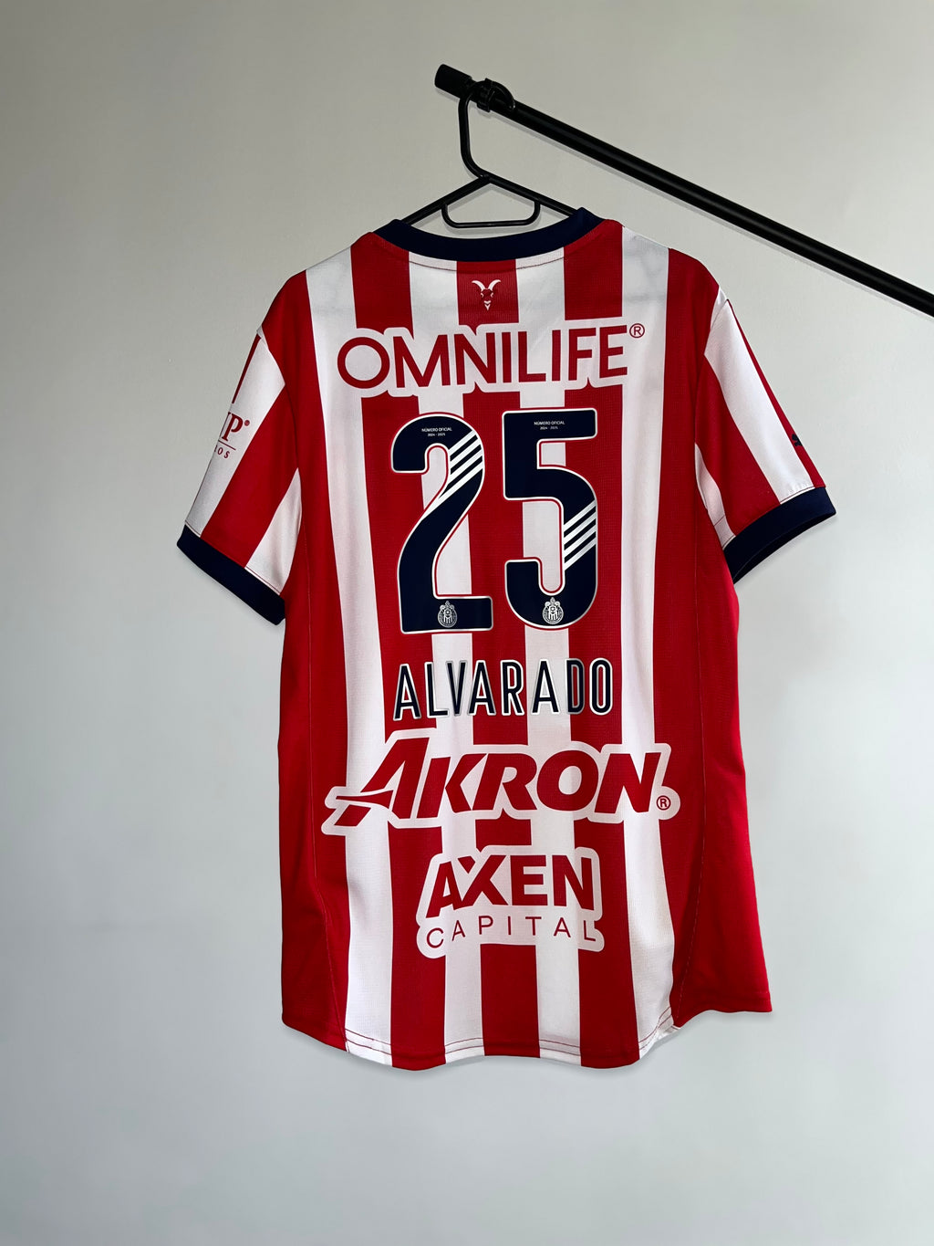 Jersey Original Chivas 2024/25 Local 706245-01 Puma Hormiga o Piojo (Escoger Dorsal)