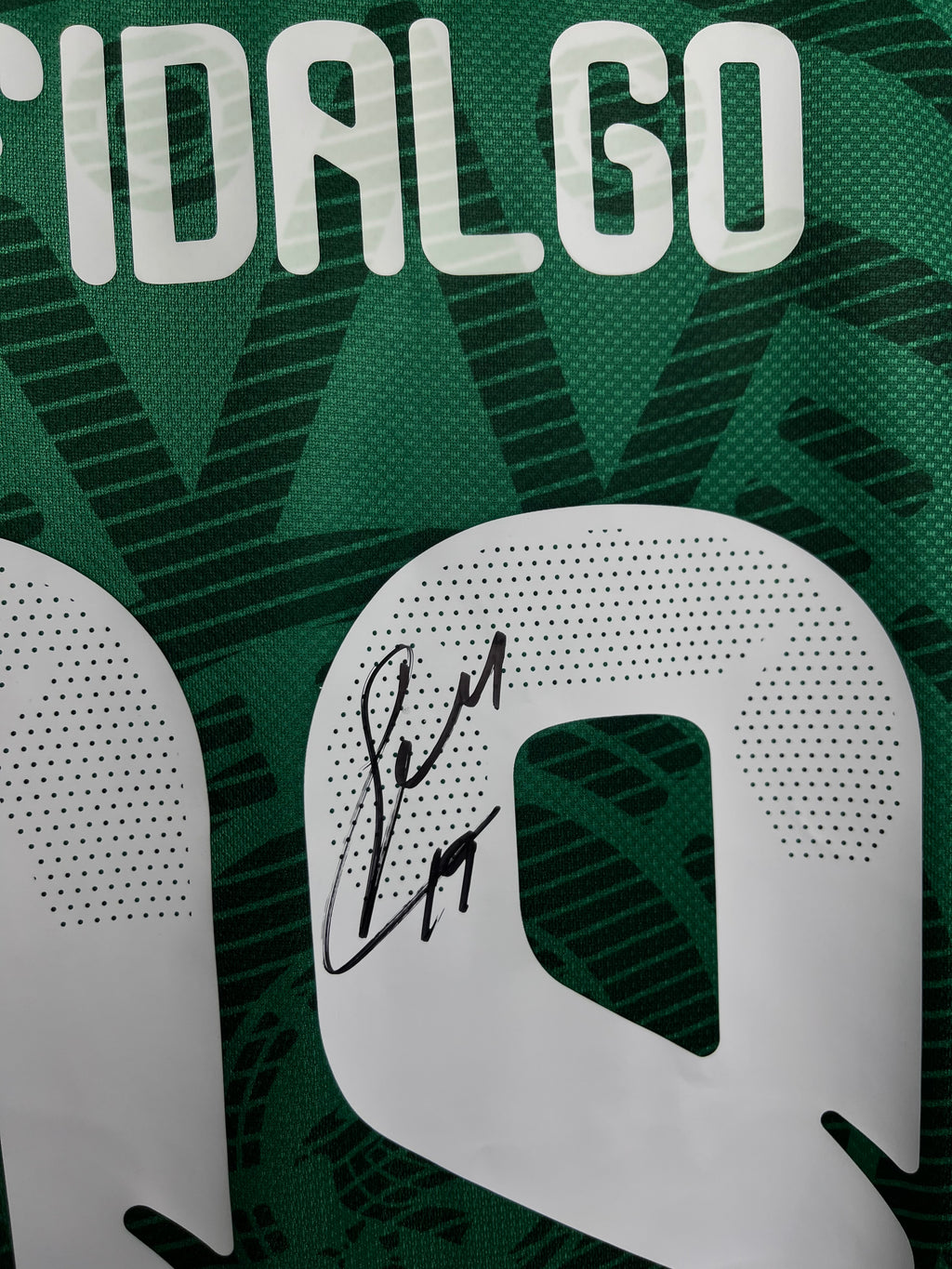 Autógrafo de Álvaro Fidalgo | Jersey México Mundial 2026